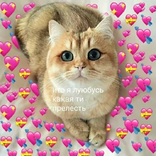 😃