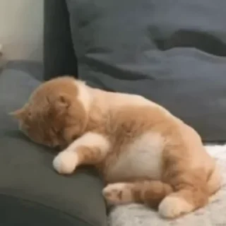 😴