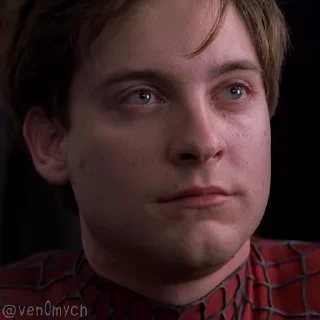 Spider-Man @ven0mych