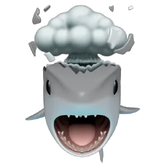 🦈