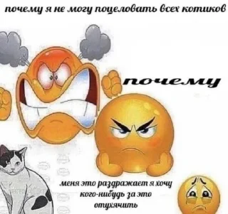 🕷