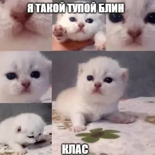 😁