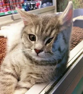 😍