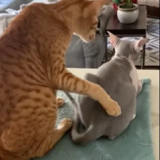 😐