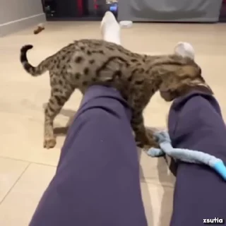 😱
