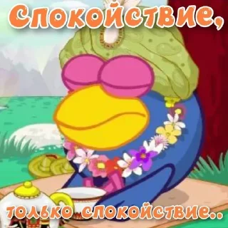 🙈