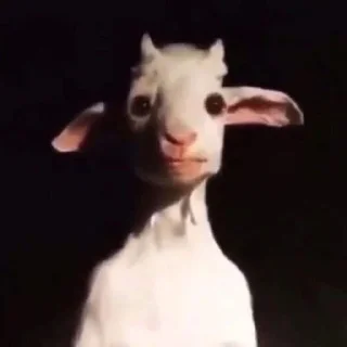 😐