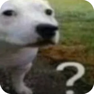 ❓
