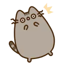 🙀