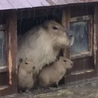 🌧