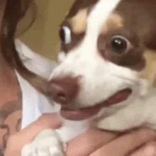 😶