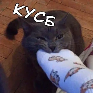 😘