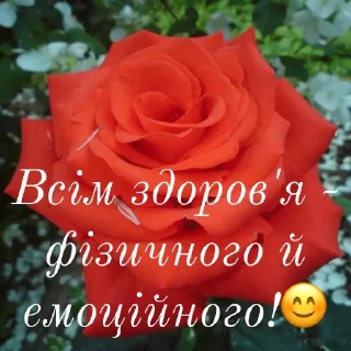 😊