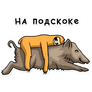 🏃‍♂️