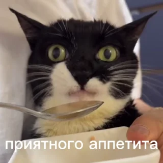 😛