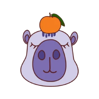 🍊