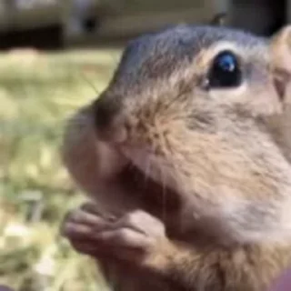 😁