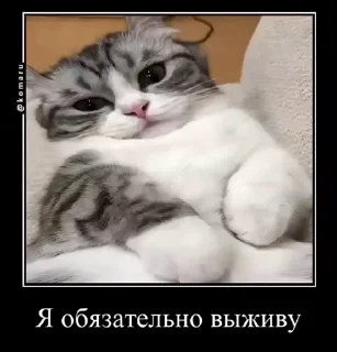 ☺️