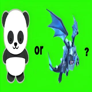 🐲
