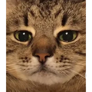 ☹️