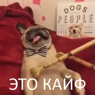 🤪