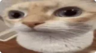 😐