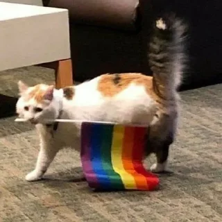 🏳‍🌈