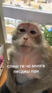 🤩