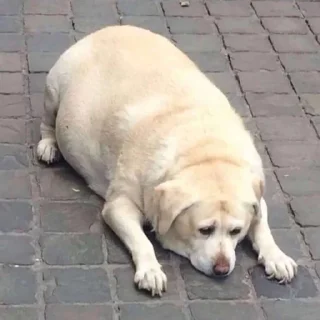 😔