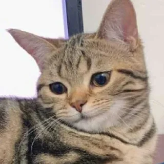 🙂