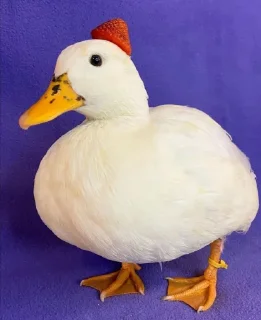 😐