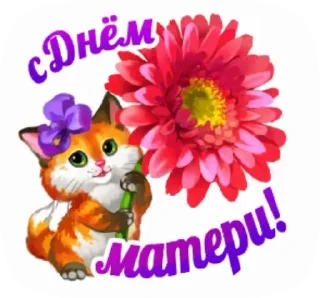🌺