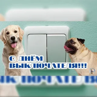😊