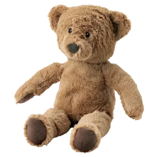 🐻