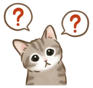 🐱