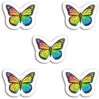 🦋