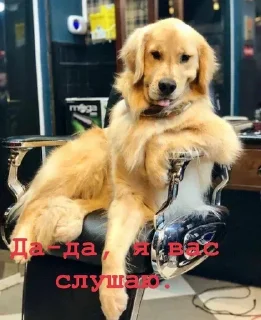 👂