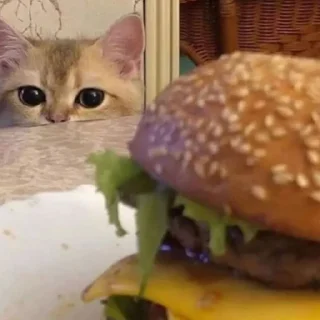 🍔
