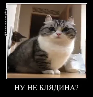 😏