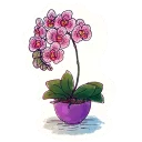 🌸