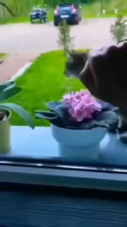 😾