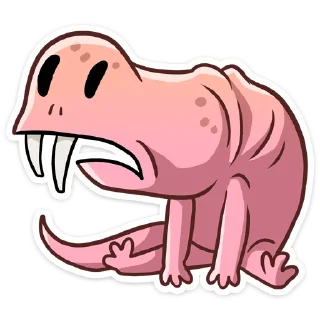 😨