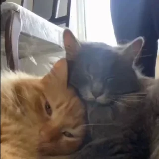 🥰