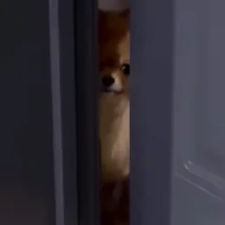 👀