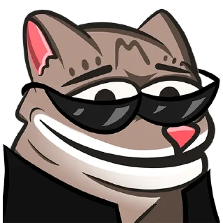 😎