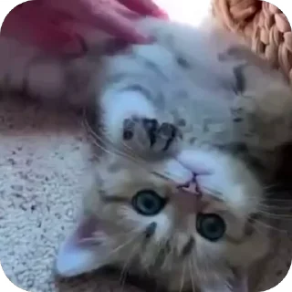 😊