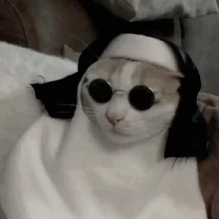 😎