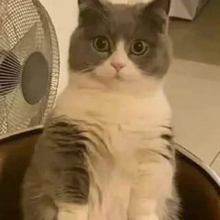 😐