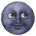 🌚