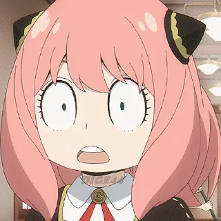 🙀